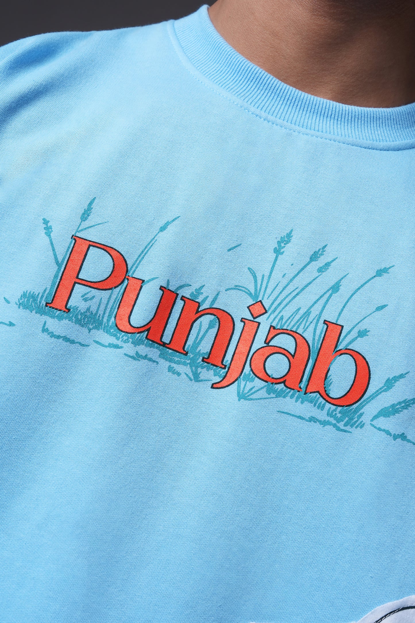 5 Rivers of Punjab T-Shirt