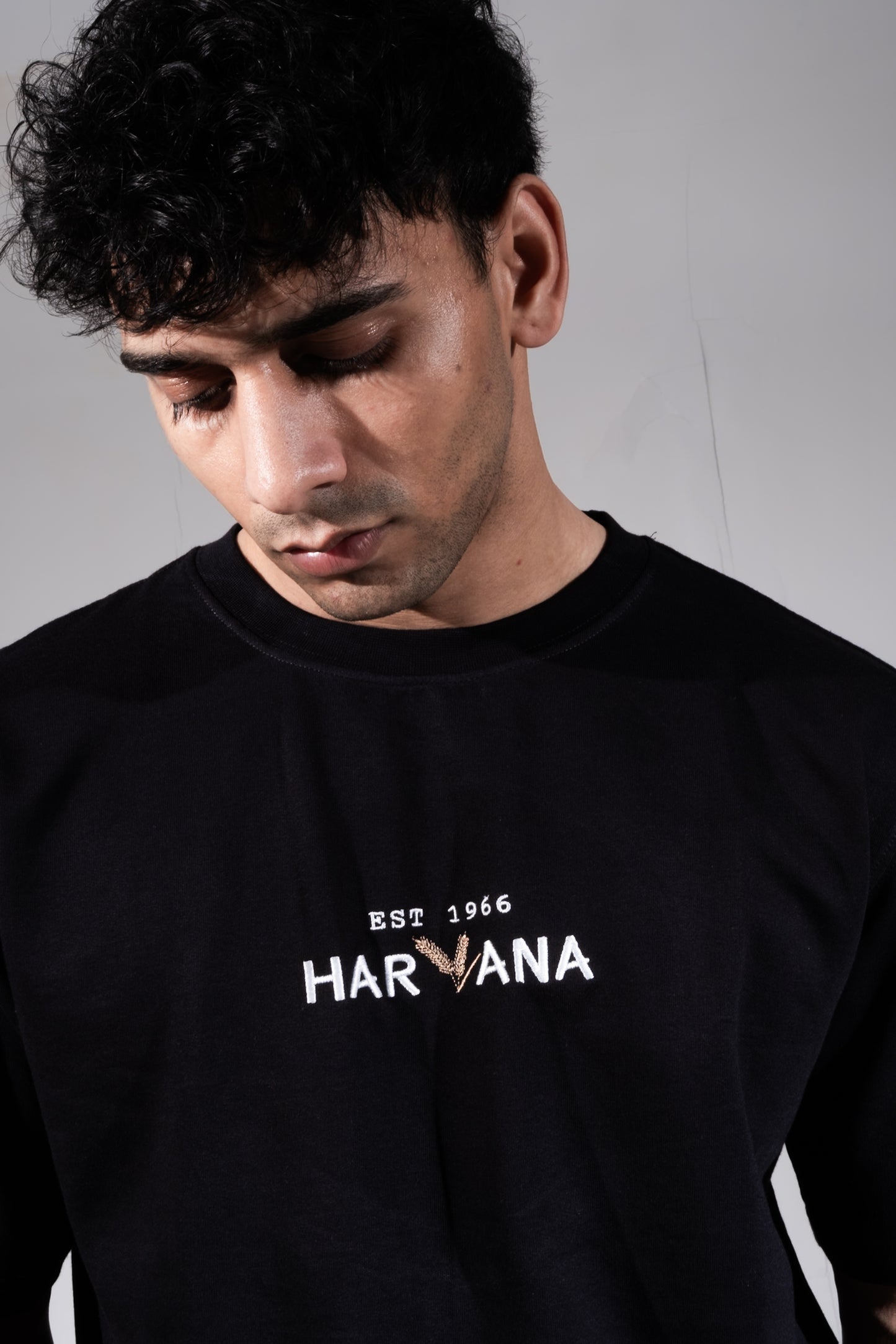 Haryana Wheat Heritage T-shirt