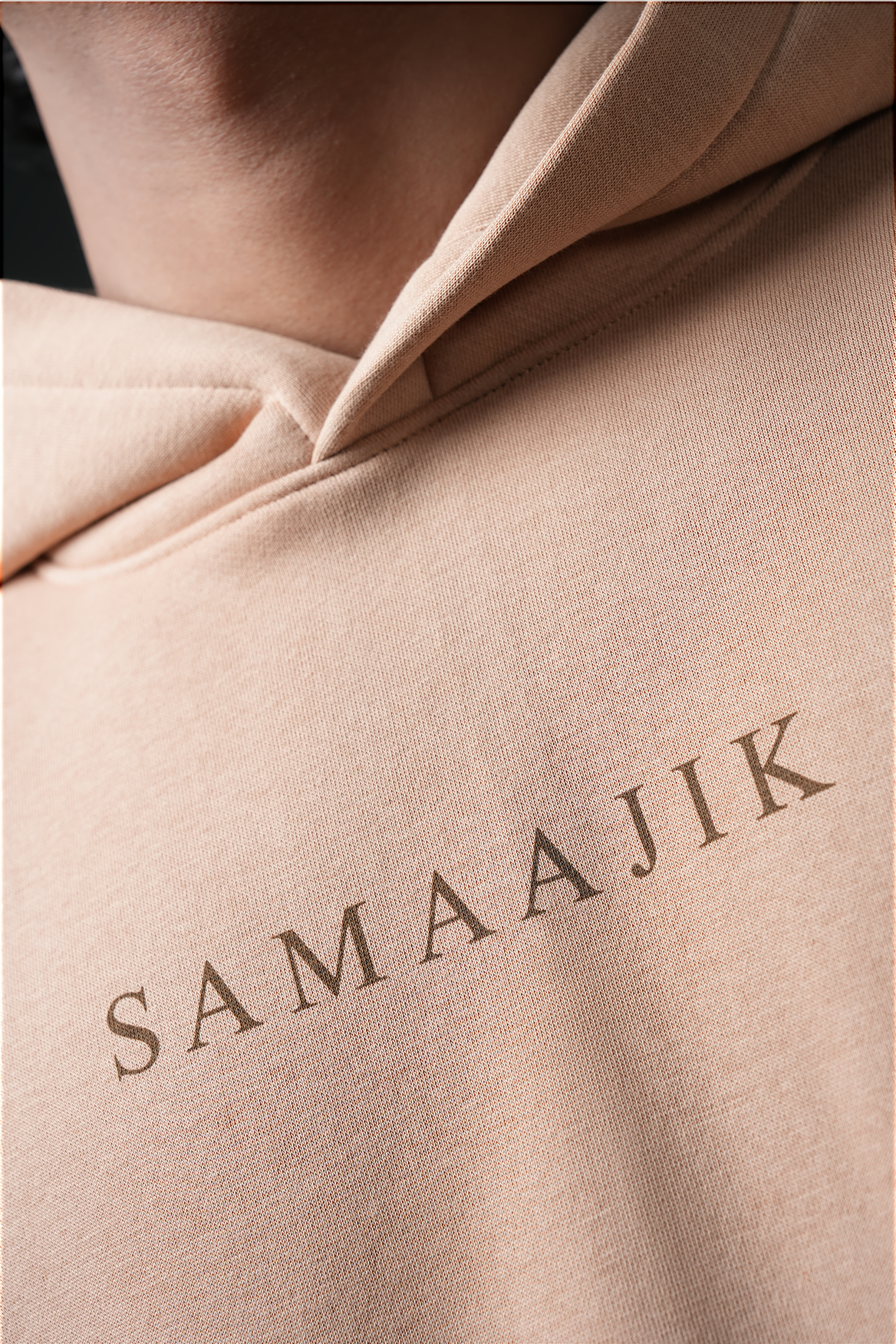 The Bee- Haryana Hoodie