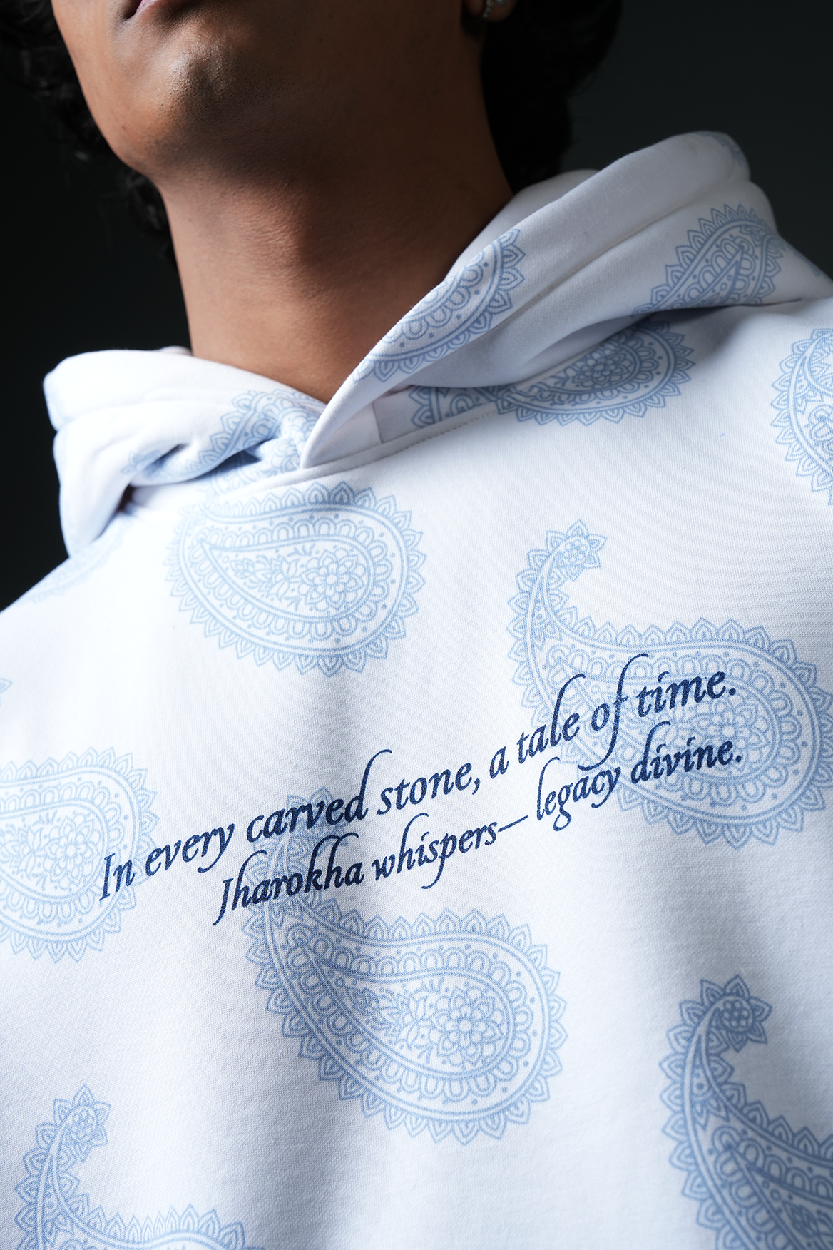Echoes of Rajasthan Hoodie
