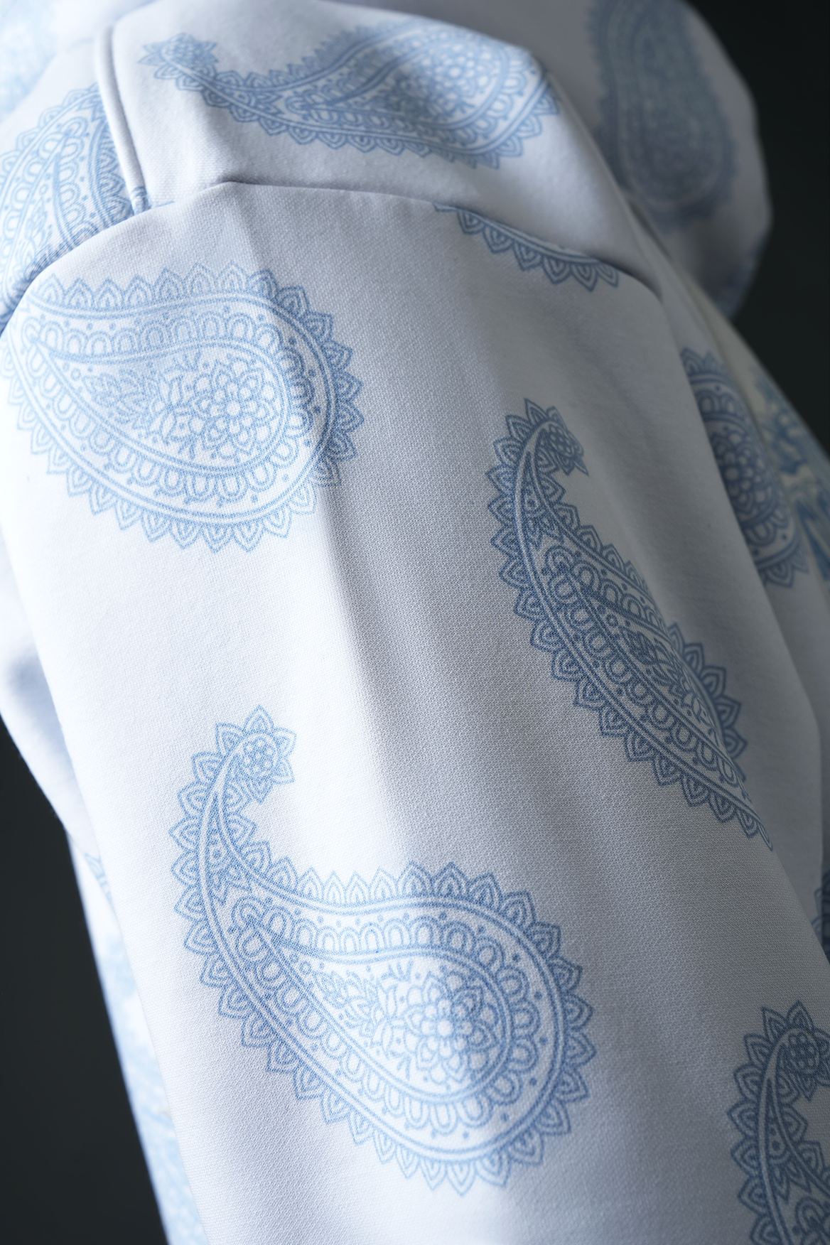 Echoes of Rajasthan Hoodie