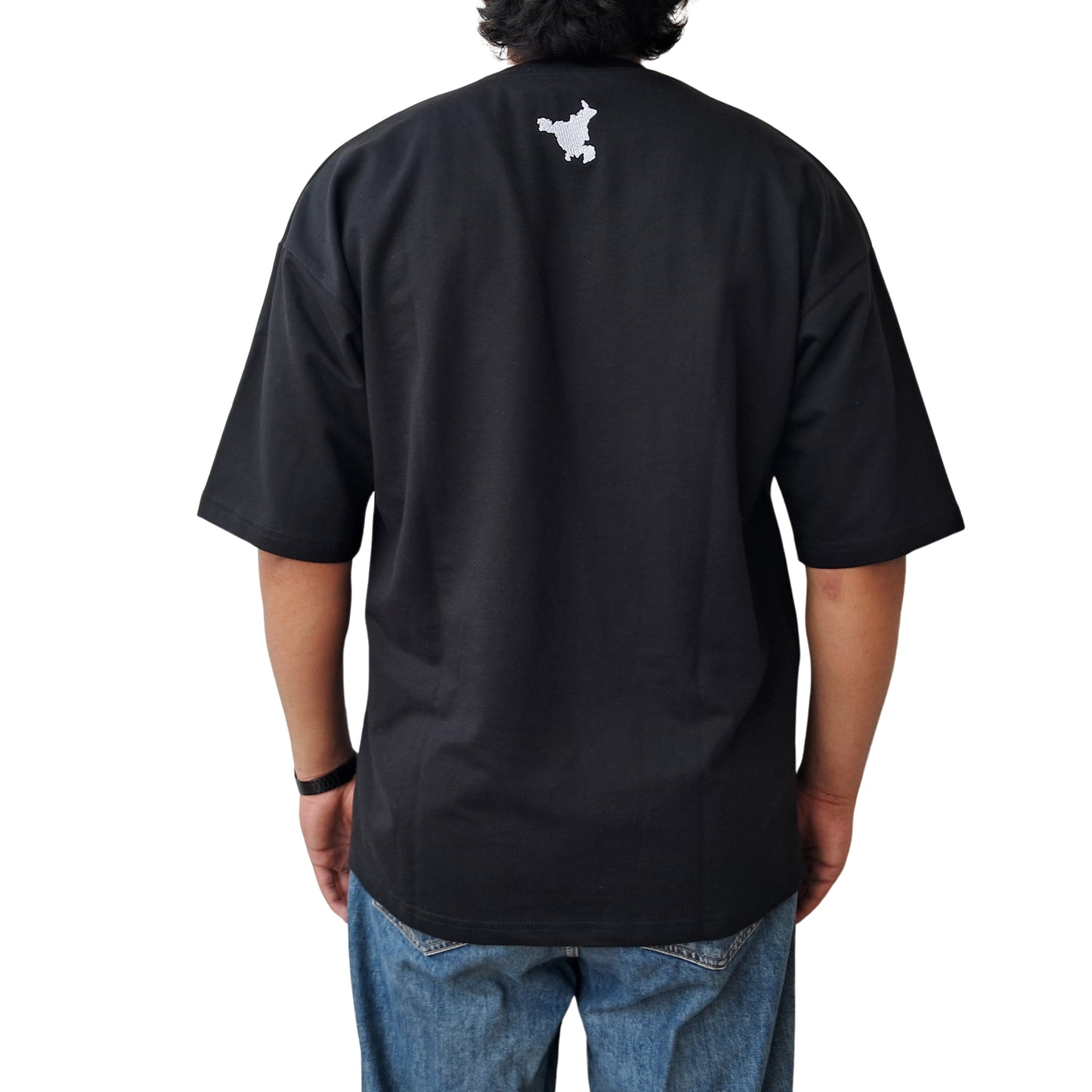 Haryana Spirit T-Shirt