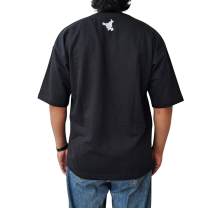 Haryana Spirit T-Shirt
