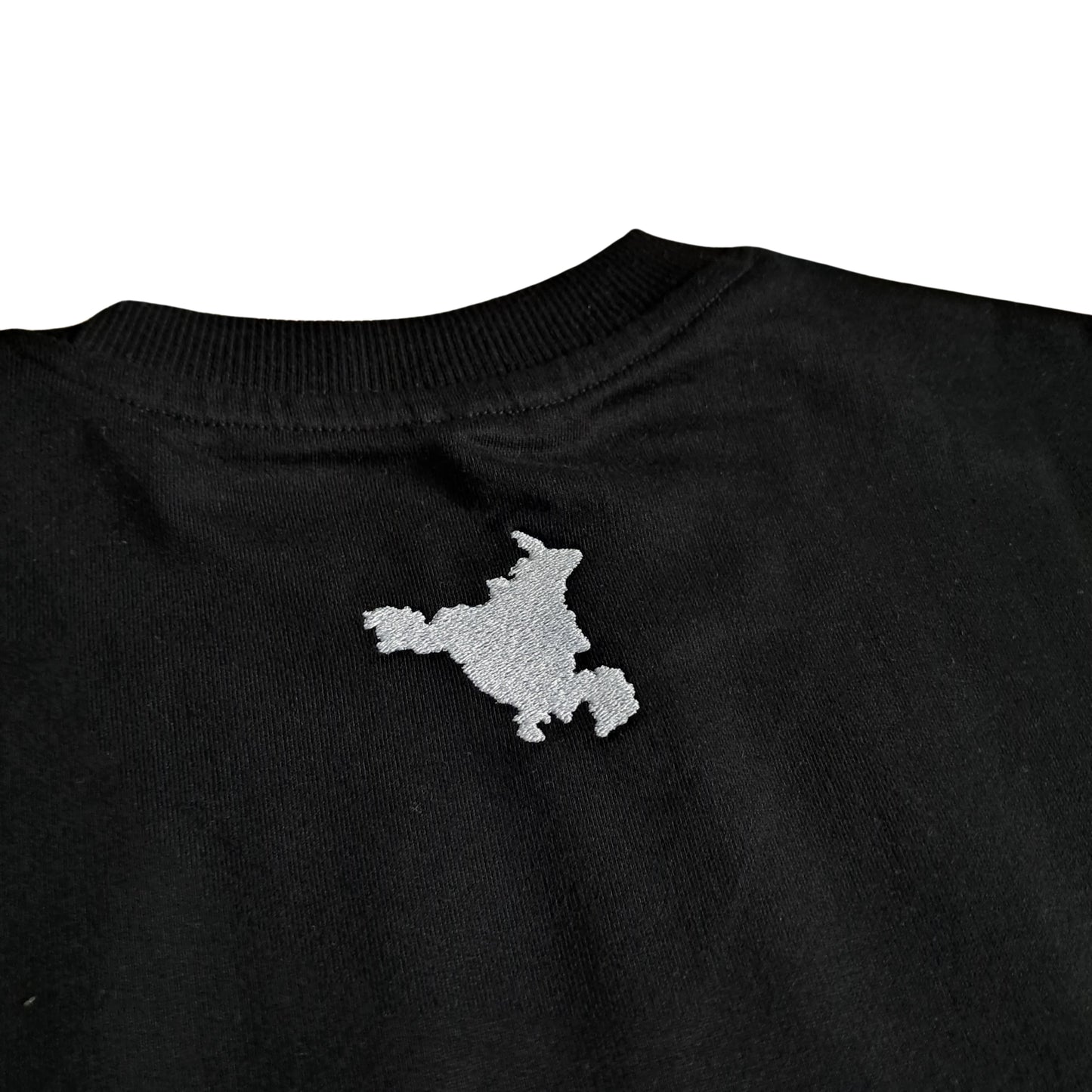 Haryana Spirit T-Shirt